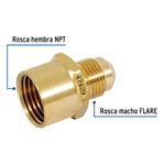 CLG-492-FC1